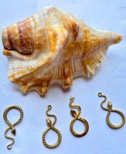 Charming Serpent Loop Charm Brass Special Charms