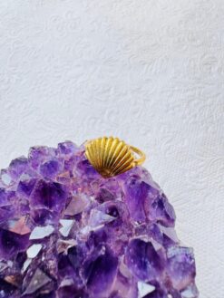 5/20 Pieces Ribbed Scallop Shell Brass Ring